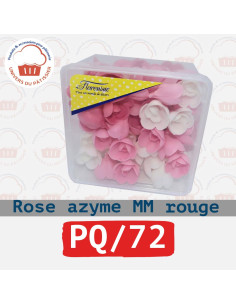 PQ72 ROSE AZYME MM ROUGE