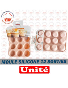 MOULE SILICONE 12 SORTIES