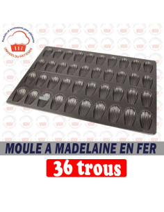 MOULE A MADELEINE FER 36...