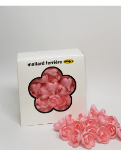 PQ72 ROSE AZYME MM ROSE