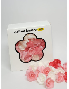 PQ72 ROSE AZYME MM ASSORTIES