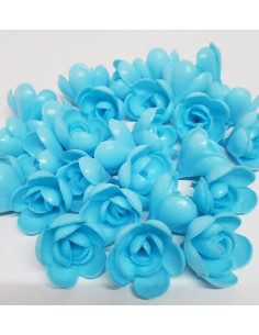 ROSE AZYME PM BLEUE