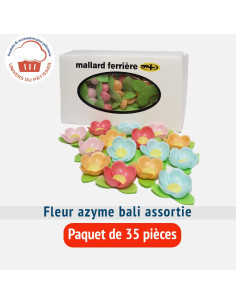 PQ35 FLEUR AZYME BALI ASSORTIE