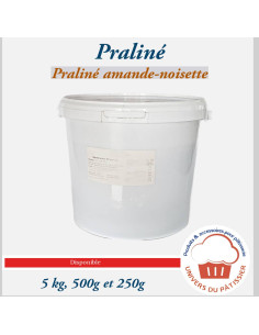 5KG PRALINE NOISETTE