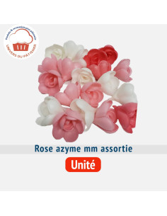 ROSE AZYME MM ASSORTIES