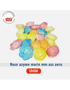 ROSE AZYME MARIE MM ASS AERO